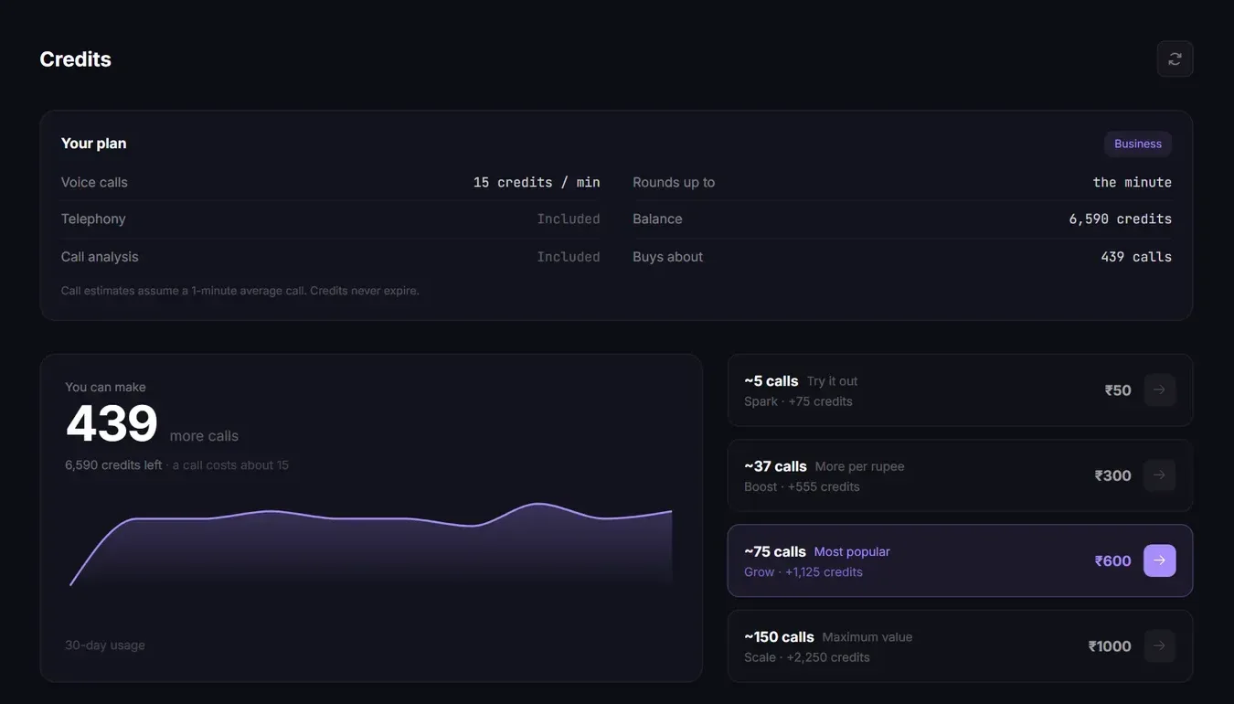 The Credits page with your plan details, balance and the four credit packs